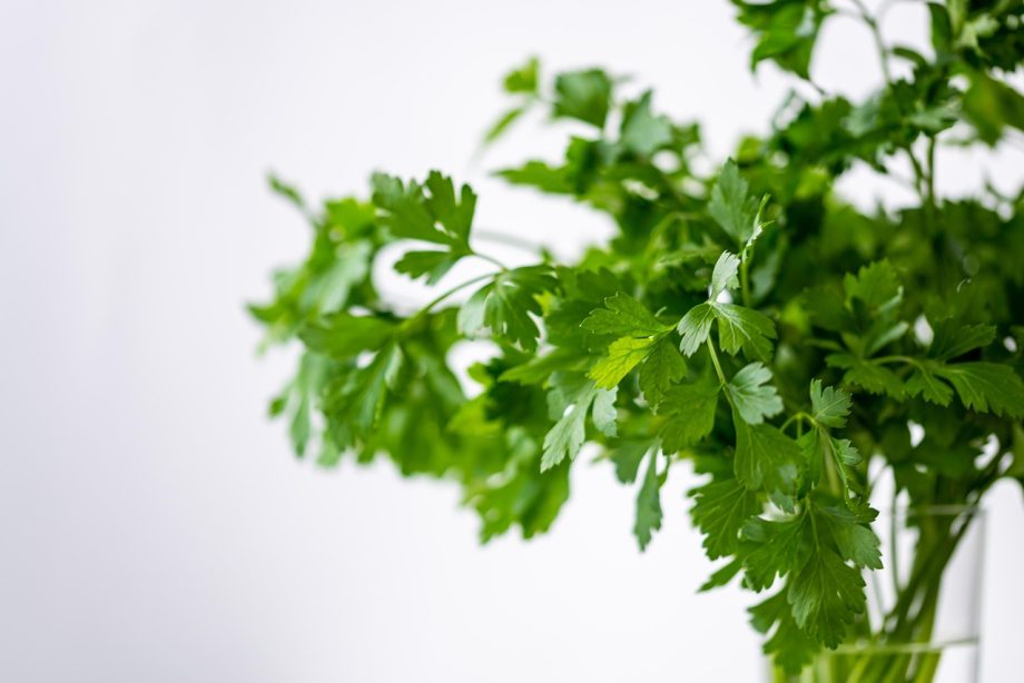Cara Membuat Kebun Herbal Mini di Dapur dari Bawah Jendela