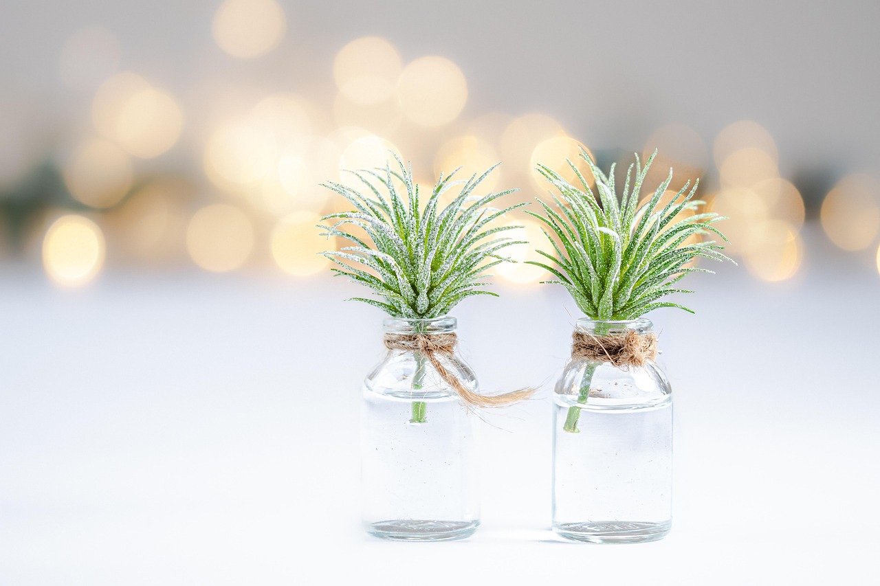 Cara Membuat Terrarium Kaca Mini untuk Pemula: 7 Langkah Anti Gagal