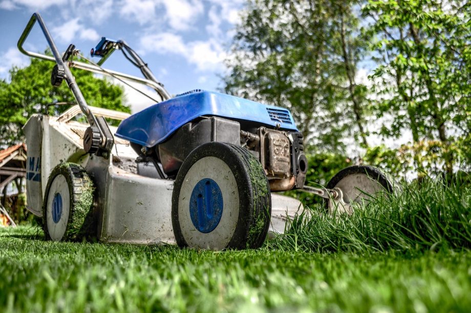 5 Alat Berkebun Wajib untuk Pemula dan Cara Memakainya yang Benar