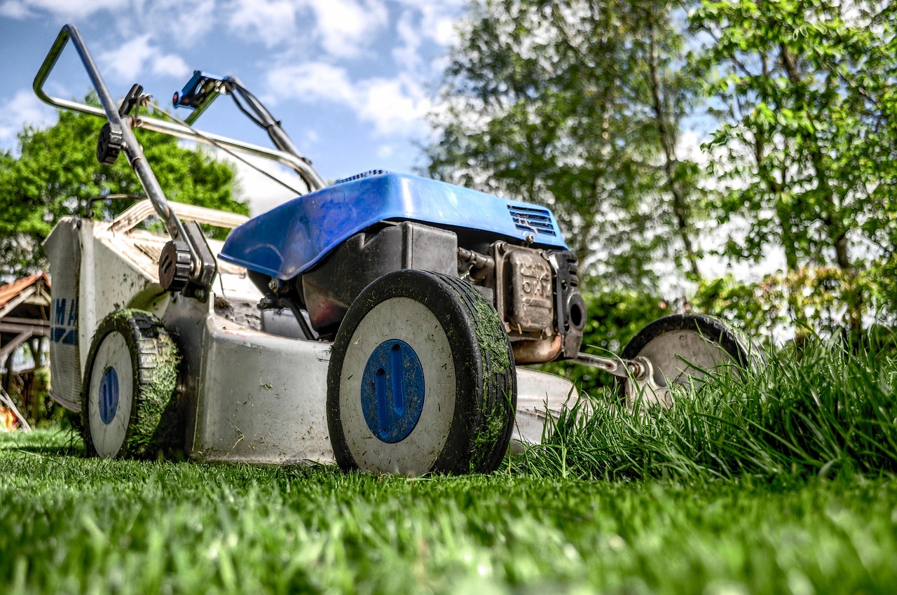 5 Alat Berkebun Wajib untuk Pemula dan Cara Memakainya yang Benar